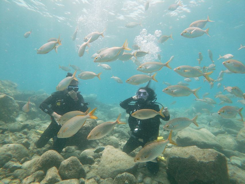 Tenerife: Costa Adeje Private Diving Lesson Experience - Private Instruction That Actually Feels Personal