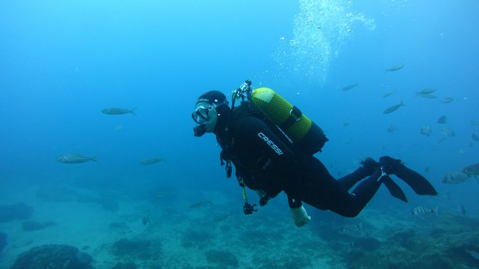 Tenerife: Discover Scuba Diving with Free Photos - Marina del Sur meet-up: where the day starts