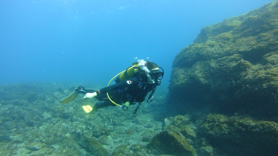 Tenerife: Discover Scuba Diving with Free Photos - Free photos: how to get the most out of them