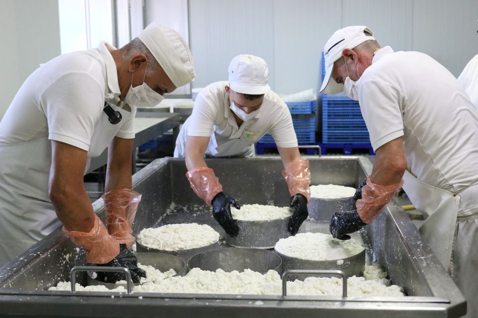 Tenerife - Farm Tour with Cheese Tasting - Key Highlights at a Glance