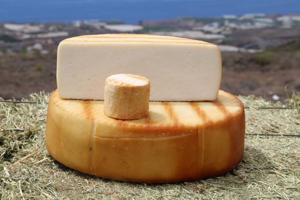 Tenerife - Farm Tour with Cheese Tasting - Entering Quesería Montesdeoca: a short tour that actually teaches