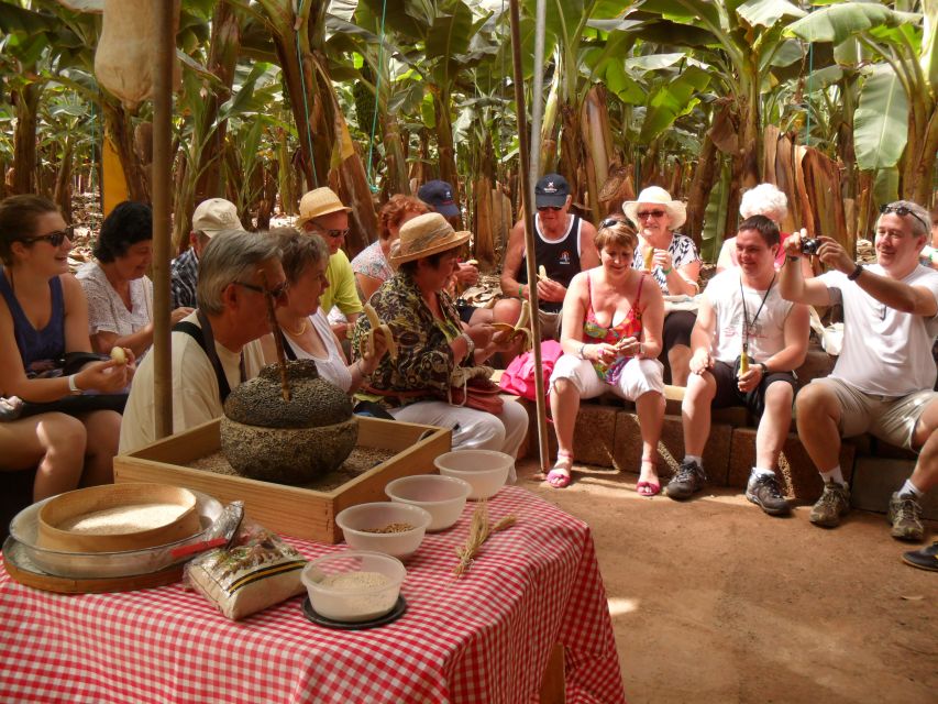 Tenerife: Finca Las Margaritas Banana Plantation Experience - Guided vs self-guided: pick the format that fits your group