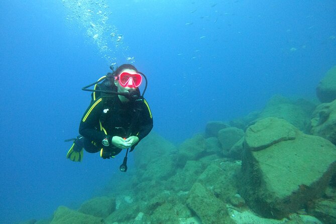 Tenerife First Time Scuba Dive – Turtle Habitat, Small Groups - Puerto Colón: Boat Ride to the Underwater Spot