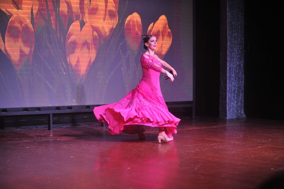 Tenerife: Flamenco Performance at Teatro Coliseo - VIP vs Standard: What You Gain for the Extra Cost