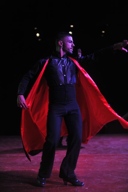 Tenerife: Flamenco Performance at Teatro Coliseo - Who Should Book This Flamenco Show?