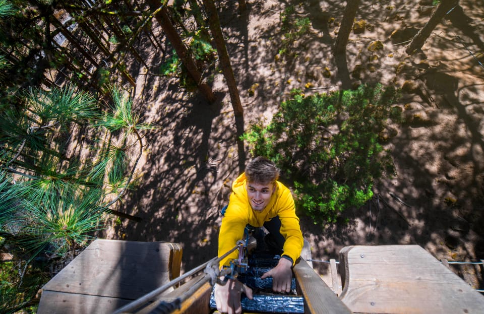 Tenerife: Forestal Park Tenerife Entry Ticket - Key things to know before you go