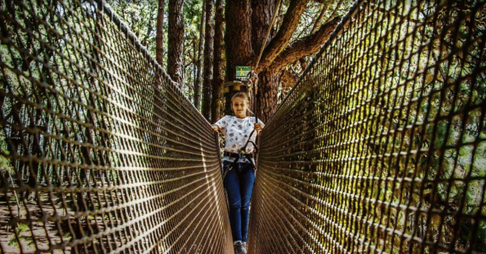Tenerife: Forestal Park Tenerife Entry Ticket - Treetop Adventure in Las Lagunetas: What Forestal Park Tenerife Is