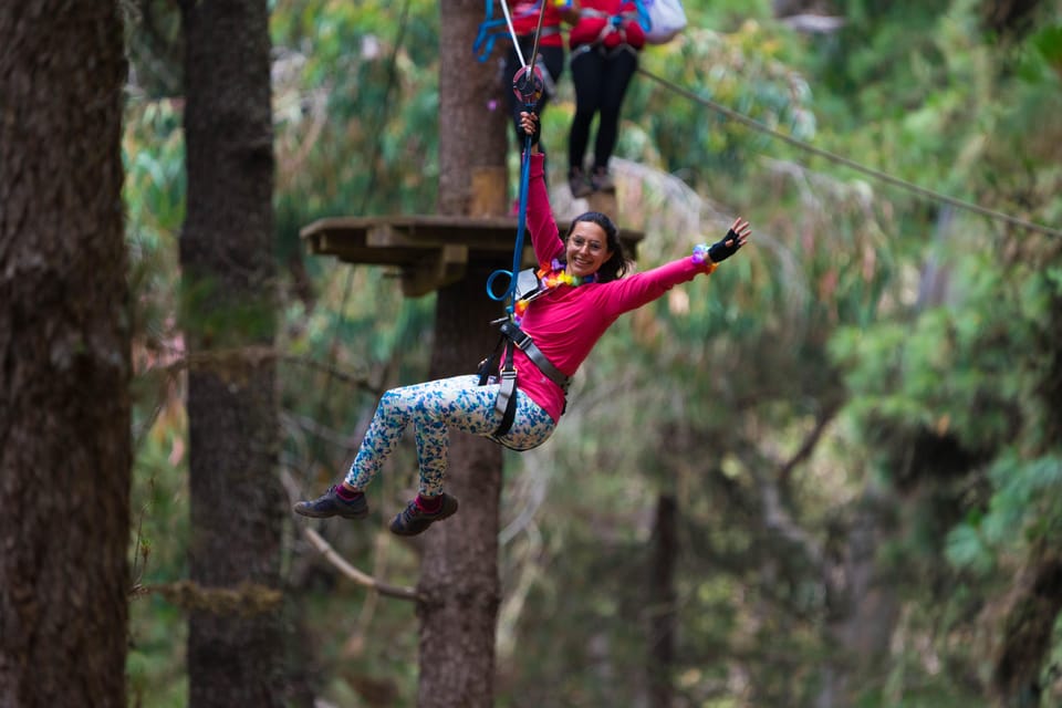 Tenerife: Forestal Park Tenerife Entry Ticket - The Forest Setting Near Teide: More Than a Thrill Park
