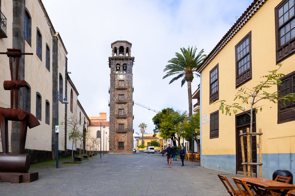 Tenerife: Full-Day Gastronomy and Wine Tour - South Tenerife Pick-Up and the Coach Time That Sets the Pace