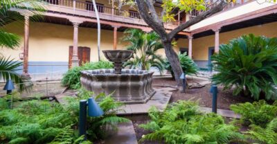 Tenerife: Full-Day Gastronomy and Wine Tour - Casa del Vino in Tenerife: Cheese, Wine, and a Museum-Style Tasting Stop