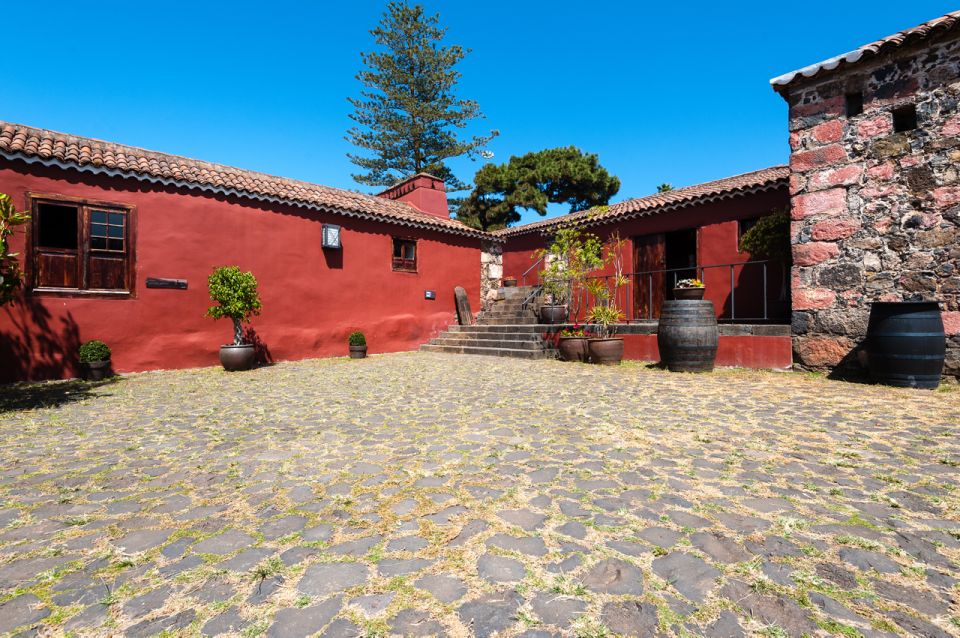 Tenerife: Full-Day Gastronomy and Wine Tour - How the Wine Tasting Works (and How to Get More From It)