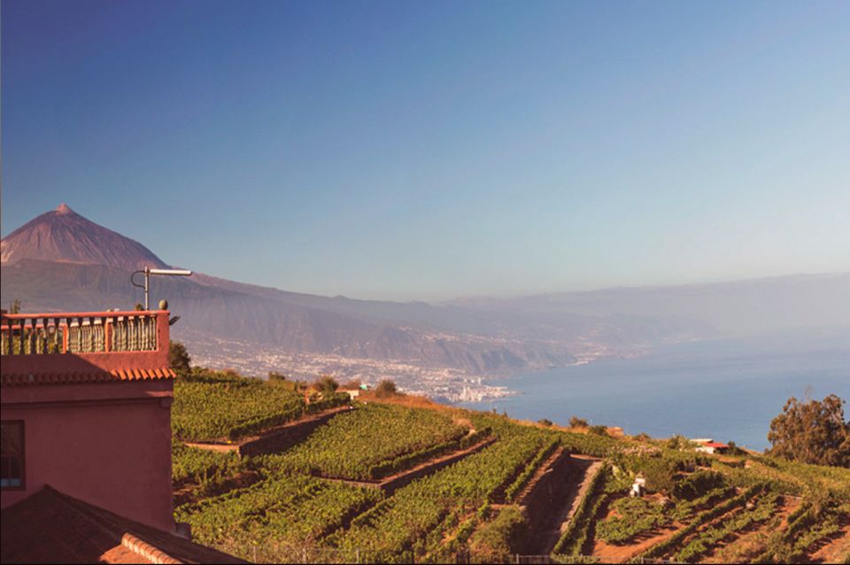 Tenerife: Full-Day Gastronomy and Wine Tour - Price of $97: Does This Tenerife Wine Tour Feel Like Value?