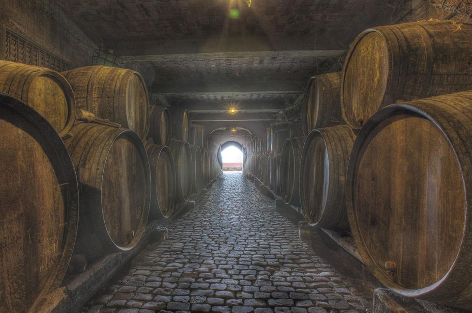 Tenerife: Full-Day Gastronomy and Wine Tour - Final Call: Should You Book the Tenerife Gastronomy and Wine Tour?