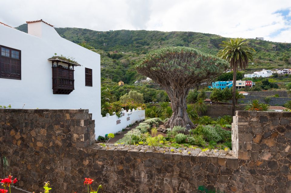 Tenerife: Full-Day Guided Island Tour - Key Stops and Why They Matter