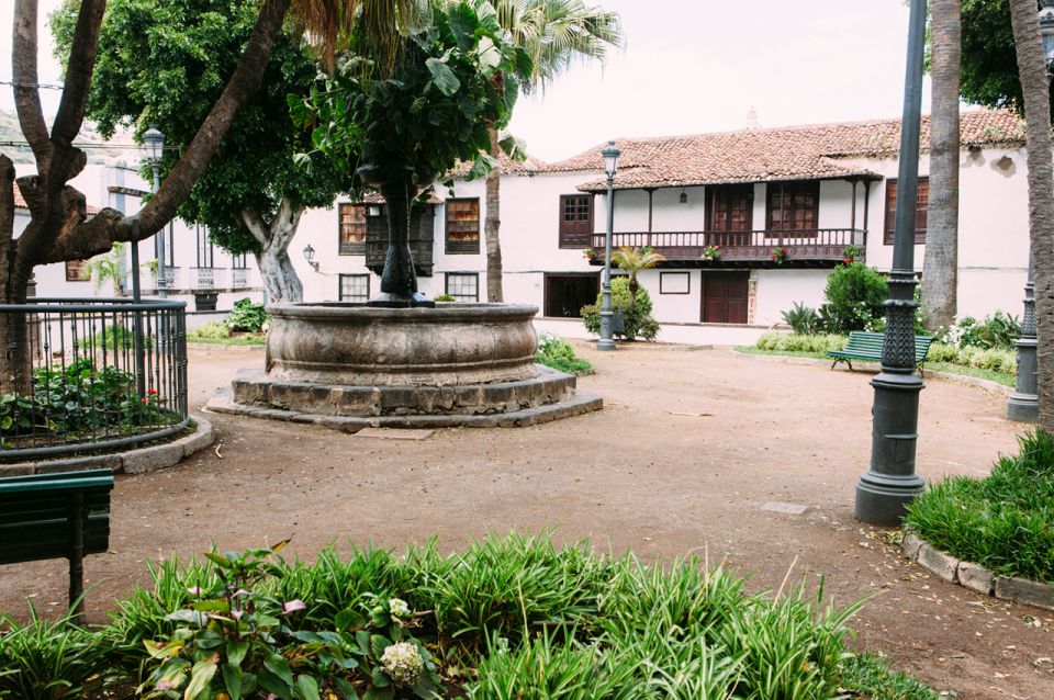 Tenerife: Full-Day Guided Island Tour - Puerto de la Cruz Free Time: Lunch, Ocean Views, and Walk Time
