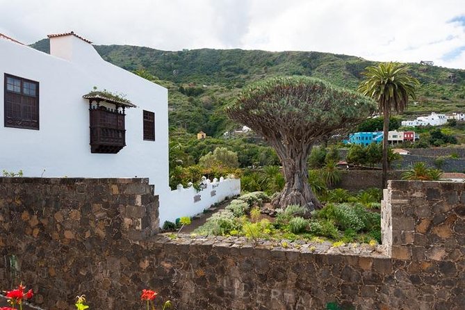 Tenerife Full Island Tour - Parque del Drago in Icod: a 30-minute meeting with Tenerife’s dragon tree