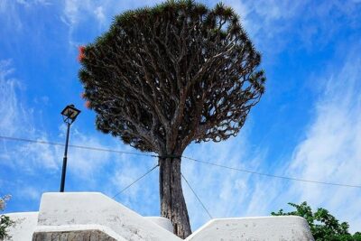 Tenerife Full Island Tour - Los Gigantes viewpoint: the fast photo stop that sets the tone