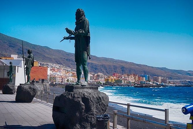 Tenerife Full Island Tour - Guides and languages: helpful explanations, sometimes repeated for multiple groups