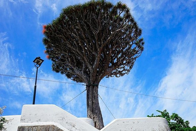 Tenerife Full Island Tour - Los Gigantes viewpoint: the fast photo stop that sets the tone