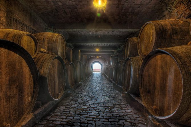Tenerife Gastronomy Tour with Two Winery Visits and 4-Course Lunch - Price and Logistics: What You Should Watch So You Don’t Feel Shortchanged