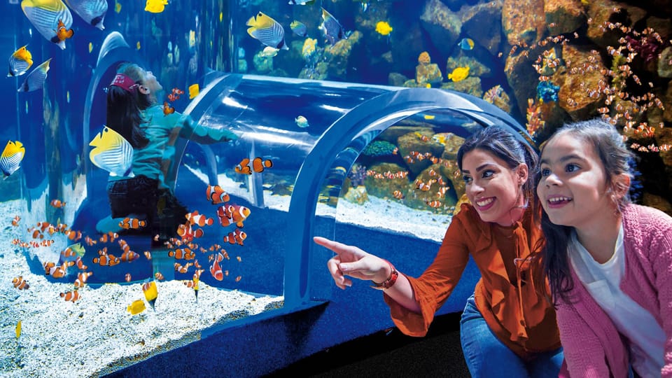 Tenerife: Gran Canaria Full-Day Guided Tour with Aquarium - Should You Book? My Decision Checklist