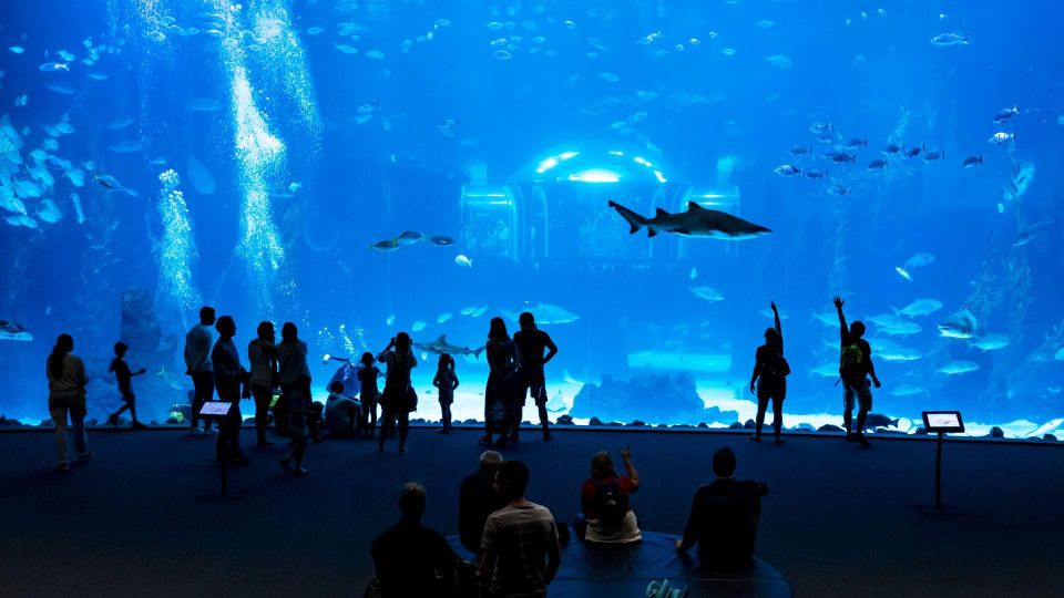 Tenerife: Gran Canaria Full-Day Guided Tour with Aquarium - Vegueta Walking Tour: Las Palmas’ Historic Heart on Foot
