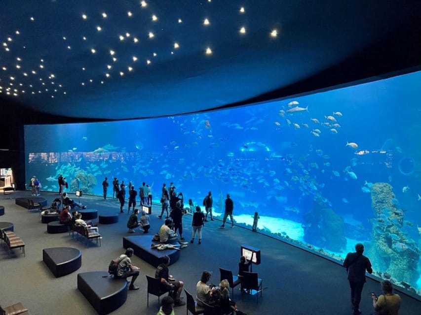 Tenerife: Gran Canaria Full-Day Guided Tour with Aquarium - Small Logistics That Save Stress