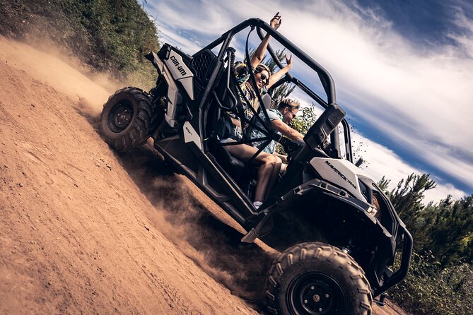 Tenerife: Guided Buggy Discovery Tour around Mount Teide - Key things I’d plan around