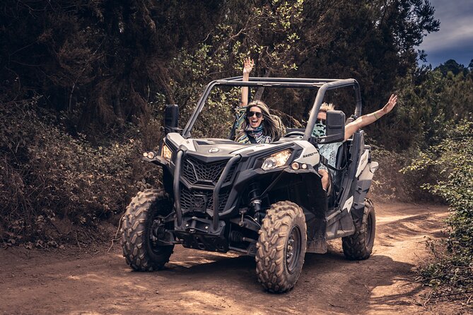 Tenerife: Guided Buggy Discovery Tour around Mount Teide - Arguayo and Mirador Lomo Molino: Two Sightseeing Stops That Set the Scene