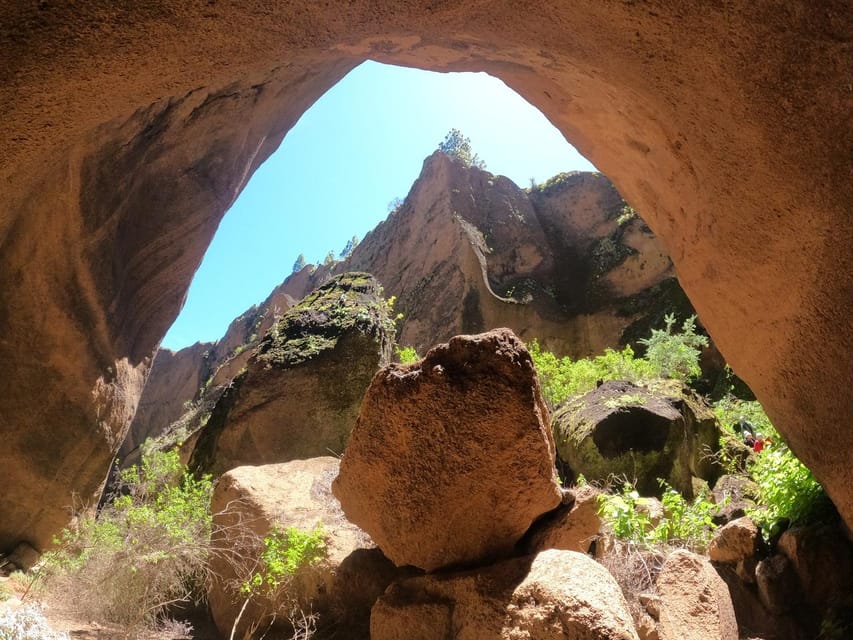 Tenerife: Guided Canyoning Experience in Los Arcos - Group size, timing, and the $82 value equation