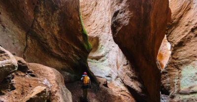 Tenerife: Guided Canyoning Experience in Los Arcos - Casa Forestal start: how the day actually flows