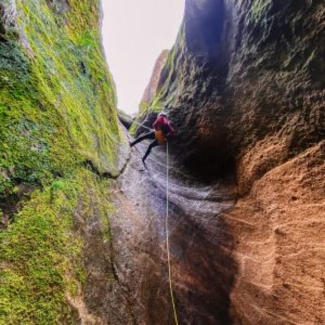 Tenerife: Guided Canyoning Experience in Los Arcos - The approach after the 2023 fire: walking through recovery