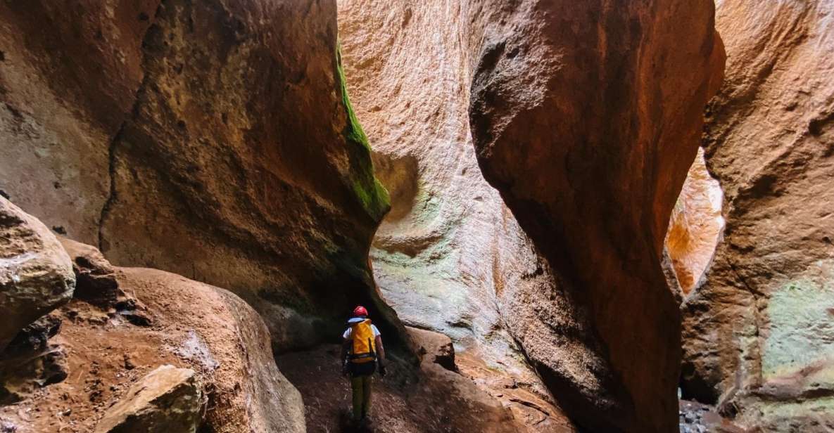 Tenerife: Guided Canyoning Experience in Los Arcos - Casa Forestal start: how the day actually flows