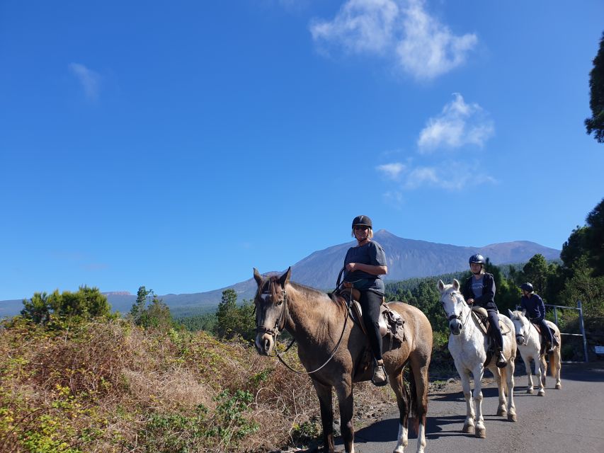 Tenerife: Guided Horseback Riding Tour to the Lomo Forest - Key things to know before you go