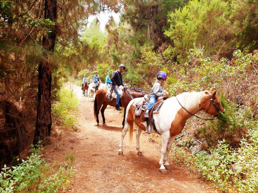 Tenerife: Guided Horseback Riding Tour to the Lomo Forest - Why this Lomo Forest ride works so well for first-timers