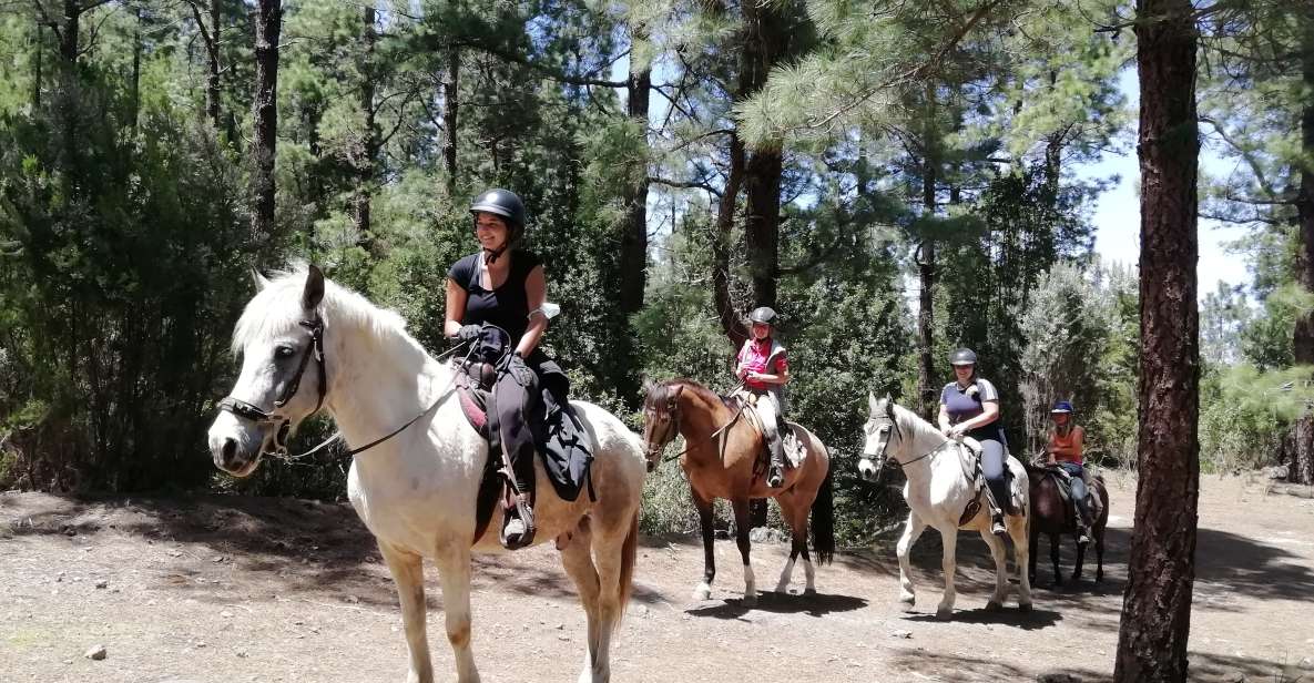 Tenerife: Guided Horseback Riding Tour to the Lomo Forest - What actually happens on the trail: walk-only, safe in step