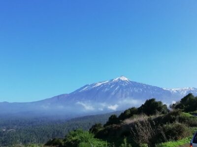 Tenerife: Guided Horseback Riding Tour to the Lomo Forest - Timing at Finca Estrella: the 11:00 start isn’t wasted time