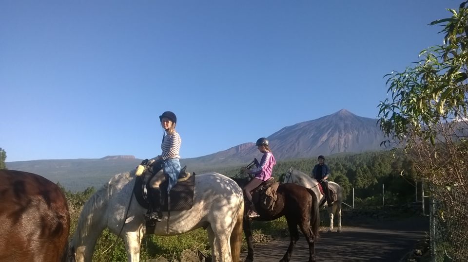 Tenerife: Guided Horseback Riding Tour to the Lomo Forest - Lomo forest scenery: nature time at a human pace