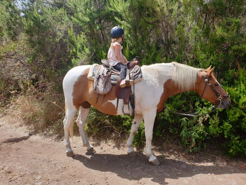 Tenerife: Guided Horseback Riding Tour to the Lomo Forest - Getting help for kids and non-riders (and what costs extra)