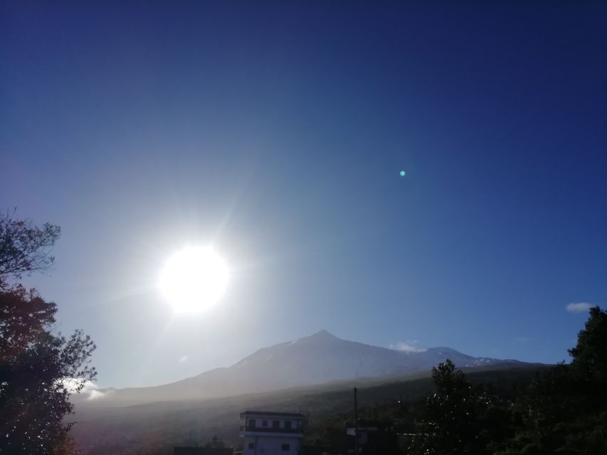 Tenerife: Guided Horseback Riding Tour to the Lomo Forest - Language and rules: you’ll need to follow instructions fast