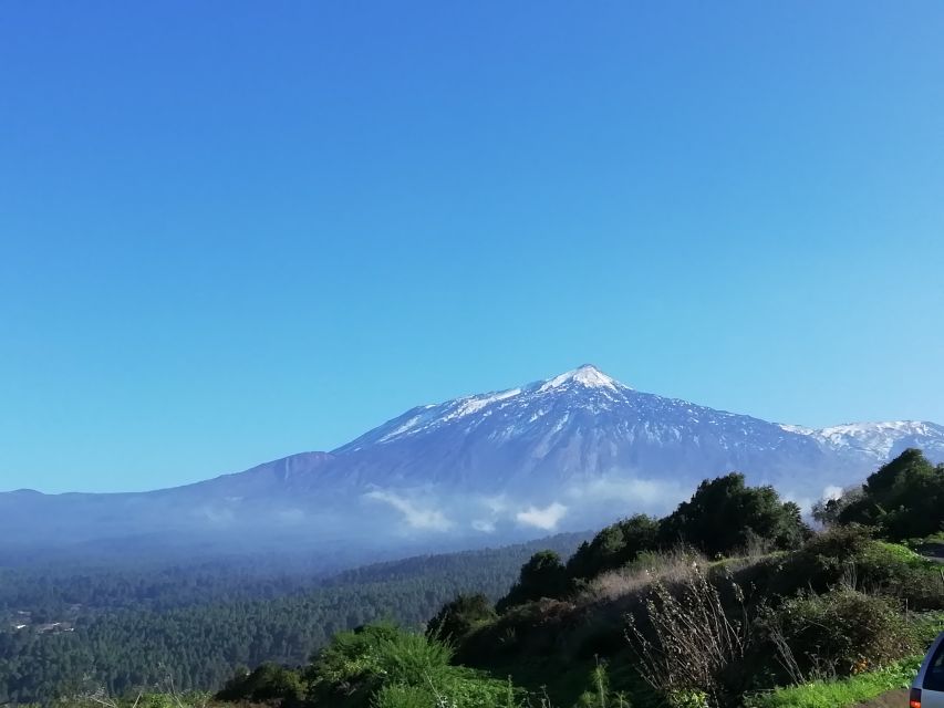 Tenerife: Guided Horseback Riding Tour to the Lomo Forest - Timing at Finca Estrella: the 11:00 start isn’t wasted time