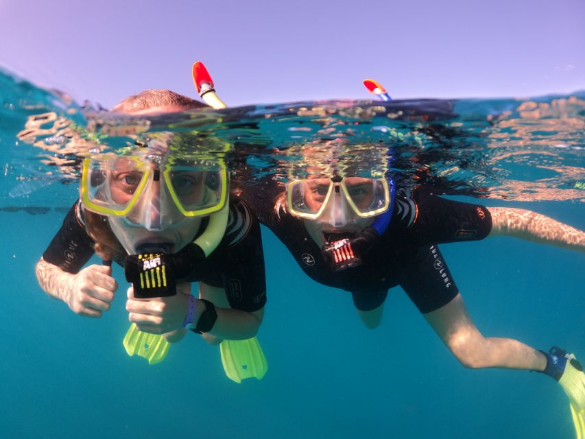 Tenerife: Half-Day Snorkeling Tour - Key things to know before you go