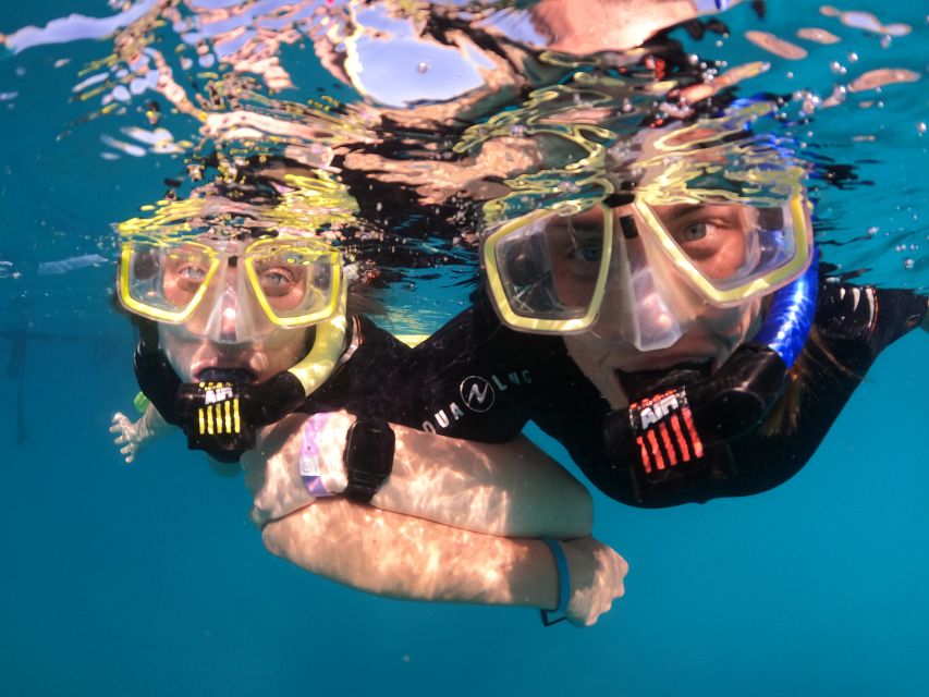 Tenerife: Half-Day Snorkeling Tour - Logistics that make or break a half-day tour