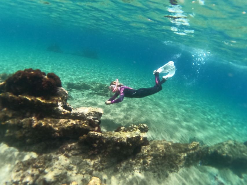 Tenerife: Half-Day Snorkeling Tour - Your 4-hour plan: pickup, briefing, two snorkel sessions