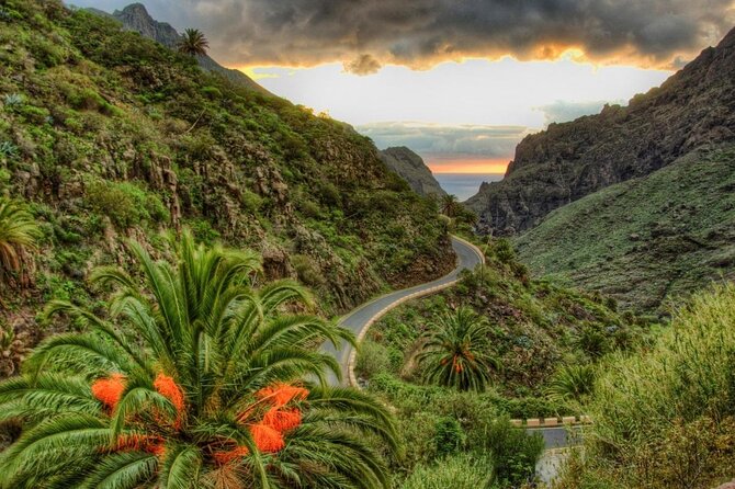 Tenerife Highlights Full-Day Tour - A full-day loop from Los Cristianos: Teide to Masca and back