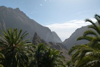 Tenerife Highlights Full-Day Tour - The volcanic plateau stop: why this section feels like a film set