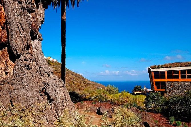 Tenerife Highlights Full-Day Tour - Garachico’s black-sand harbor and the 1706 eruption backdrop