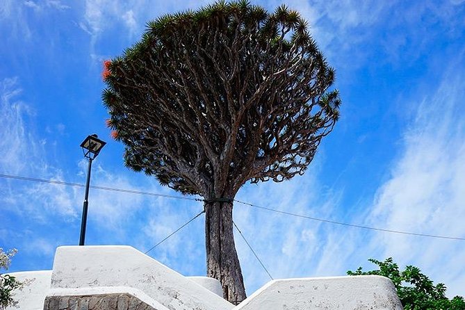 Tenerife Highlights Full-Day Tour - Masca Valley: canyon-ridge views toward La Gomera (and what to wear)