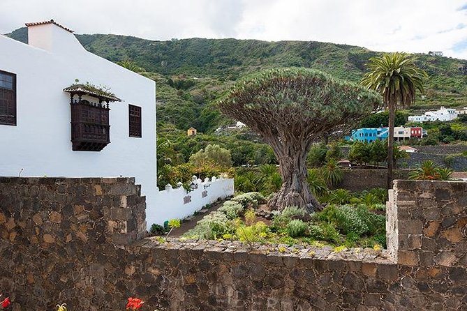 Tenerife Highlights Full-Day Tour - Coach time and winding-road reality: comfort tips that matter