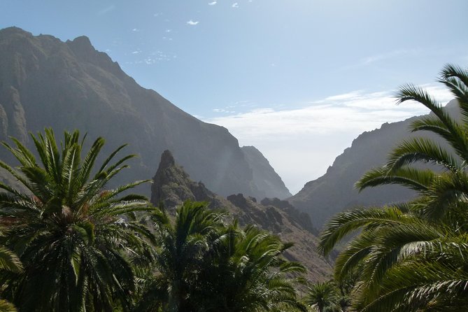 Tenerife Highlights Full-Day Tour - The volcanic plateau stop: why this section feels like a film set